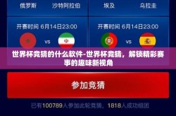 世界杯竞猜的什么软件-世界杯竞猜，解锁精彩赛事的趣味新视角