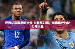 世界杯彩票单场比分-世界杯彩票，单场比分的魅力与挑战