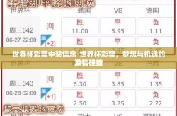 世界杯彩票中奖信息-世界杯彩票，梦想与机遇的激情碰撞