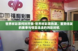 世界杯彩票何时开售-世界杯彩票热潮，蓄势待发的赛事与惊喜连连的购彩时机