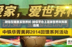 微信在哪里买世界杯-微信平台上足球世界杯购票指南