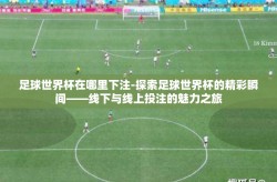 足球世界杯在哪里下注-探索足球世界杯的精彩瞬间——线下与线上投注的魅力之旅