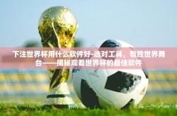 下注世界杯用什么软件好-选对工具，智胜世界舞台——揭秘观看世界杯的最佳软件