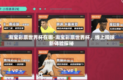 淘宝彩票世界杯在哪-淘宝彩票世界杯，线上观球新体验探秘