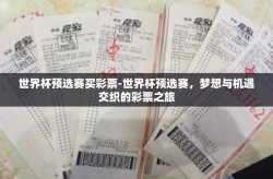 世界杯预选赛买彩票-世界杯预选赛，梦想与机遇交织的彩票之旅