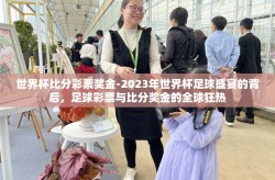 世界杯比分彩票奖金-2023年世界杯足球盛宴的背后，足球彩票与比分奖金的全球狂热