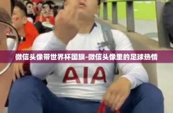 微信头像带世界杯国旗-微信头像里的足球热情