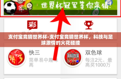 支付宝竞猜世界杯-支付宝竞猜世界杯，科技与足球激情的火花碰撞