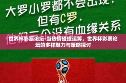 世界杯彩票论坛-当热情碰撞运筹，世界杯彩票论坛的多样魅力与策略探讨