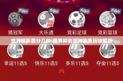 世界杯彩票分几种-世界杯彩票种类及玩味解析