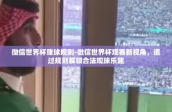 微信世界杯赌球规则-微信世界杯观赛新视角，透过规则解锁合法观球乐趣