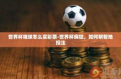 世界杯赌球怎么买彩票-世界杯疯狂，如何明智地投注