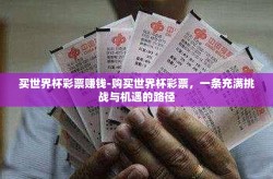 买世界杯彩票赚钱-购买世界杯彩票，一条充满挑战与机遇的路径