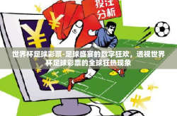 世界杯足球彩票-足球盛宴的数字狂欢，透视世界杯足球彩票的全球狂热现象