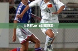 世界杯2018彩票冠军-