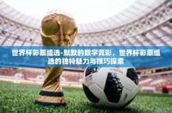 世界杯彩票组选-默默的数字竞彩，世界杯彩票组选的独特魅力与技巧探索