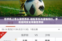 在手机上怎么赌世界杯-轻松享乐与谨慎同行，手机如何安全观赛世界杯
