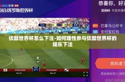 优酷世界杯怎么下注-如何理性参与优酷世界杯的娱乐下注