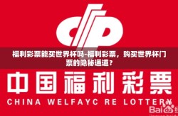 福利彩票能买世界杯吗-福利彩票，购买世界杯门票的隐秘通道？