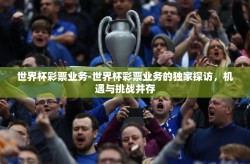 世界杯彩票业务-世界杯彩票业务的独家探访，机遇与挑战并存