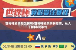 世界杯彩票怎么买啊-世界杯彩票购买指南，从入门到小试手气
