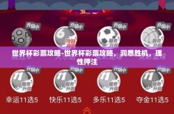 世界杯彩票攻略-世界杯彩票攻略，洞悉胜机，理性押注