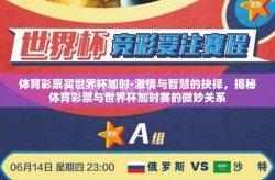 体育彩票买世界杯加时-激情与智慧的抉择，揭秘体育彩票与世界杯加时赛的微妙关系