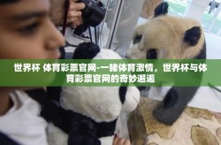 世界杯 体育彩票官网-一睹体育激情，世界杯与体育彩票官网的奇妙邂逅