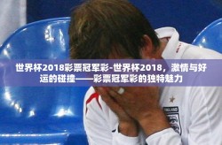 世界杯2018彩票冠军彩-世界杯2018，激情与好运的碰撞——彩票冠军彩的独特魅力