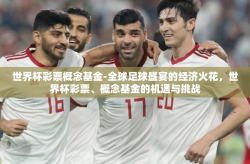 世界杯彩票概念基金-全球足球盛宴的经济火花，世界杯彩票、概念基金的机遇与挑战