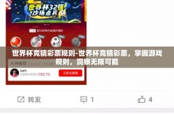 世界杯竞猜彩票规则-世界杯竞猜彩票，掌握游戏规则，洞察无限可能