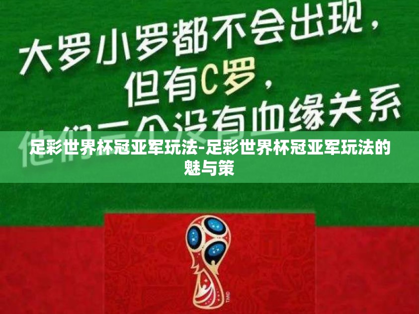 足彩世界杯冠亚军玩法-足彩世界杯冠亚军玩法的魅与策