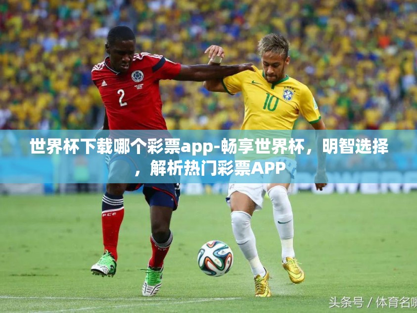 世界杯下载哪个彩票app-畅享世界杯，明智选择，解析热门彩票APP