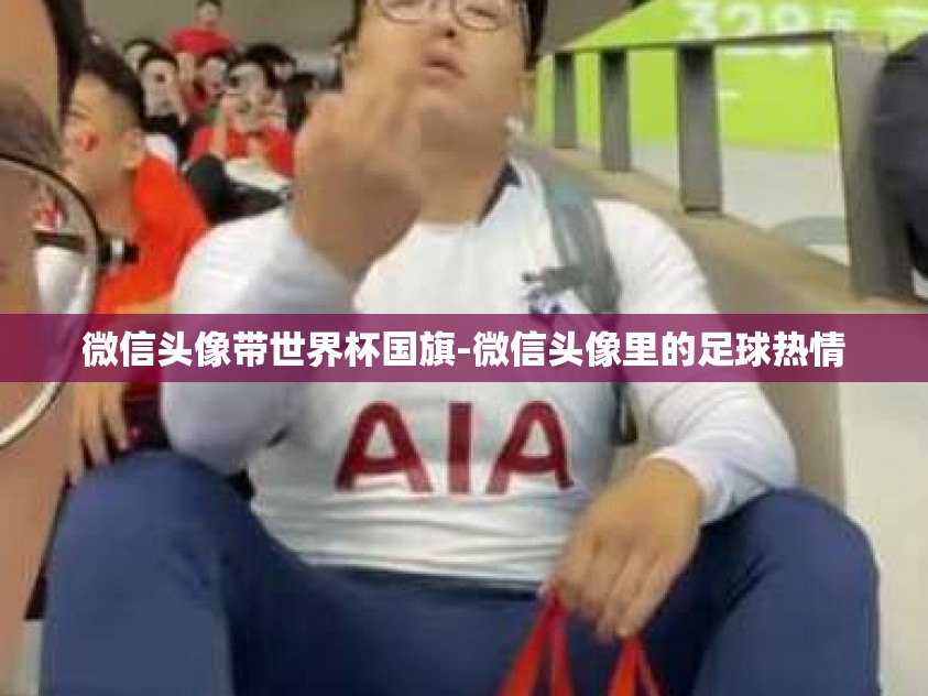 微信头像带世界杯国旗-微信头像里的足球热情 微信头像带世界杯国旗-微信头像里的足球热情
