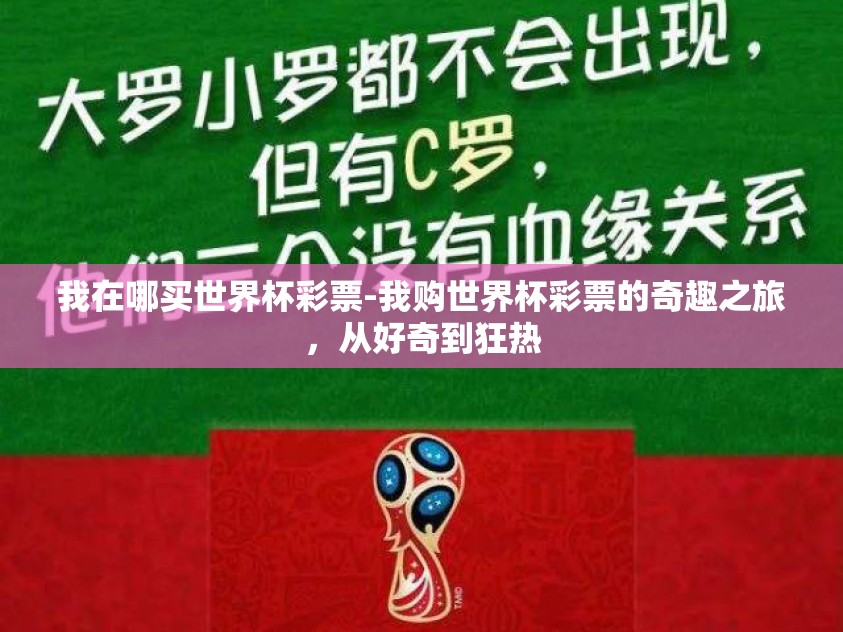 我在哪买世界杯彩票-我购世界杯彩票的奇趣之旅，从好奇到狂热