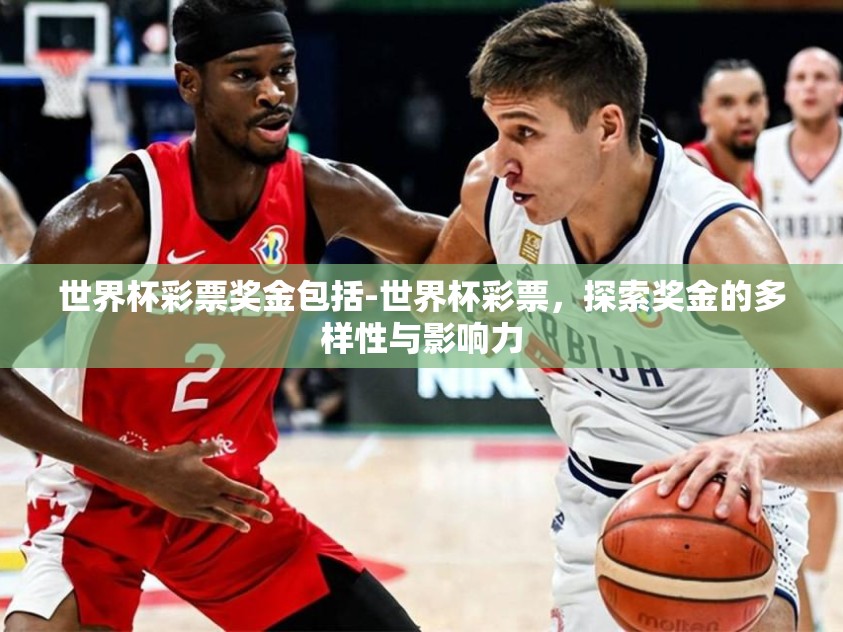 世界杯彩票奖金包括-世界杯彩票，探索奖金的多样性与影响力