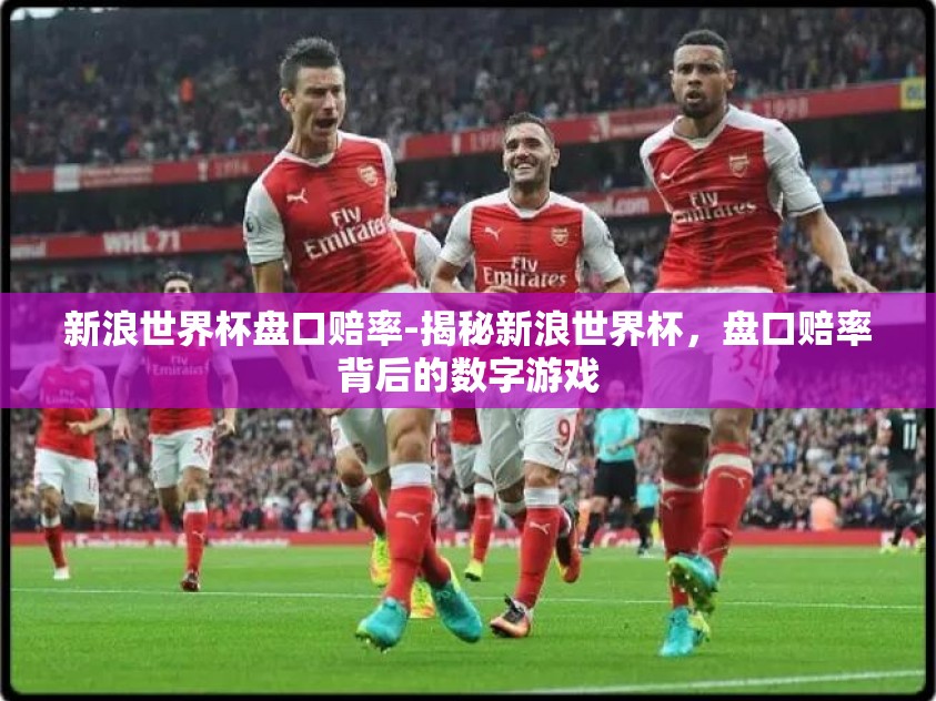 新浪世界杯盘口赔率-揭秘新浪世界杯，盘口赔率背后的数字游戏