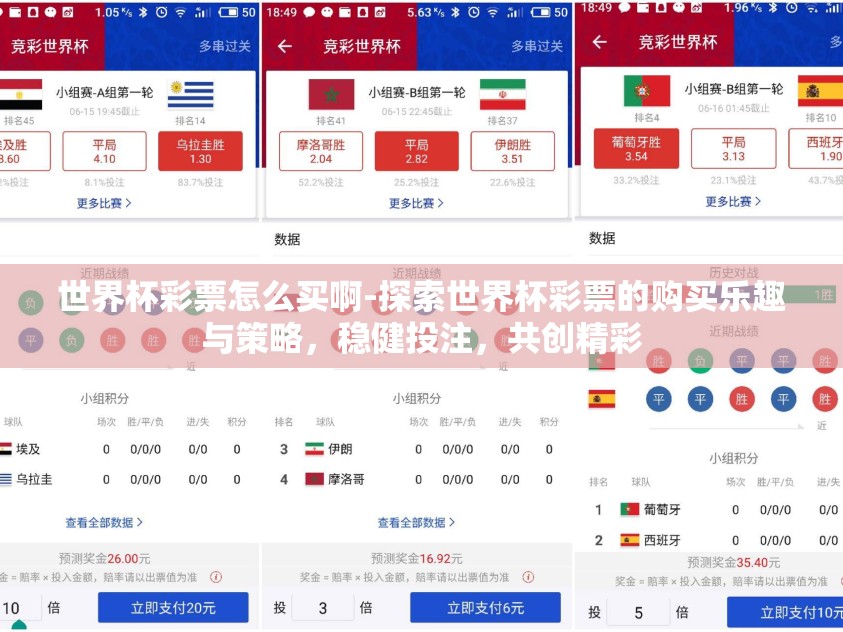 世界杯彩票怎么买啊-探索世界杯彩票的购买乐趣与策略，稳健投注，共创精彩