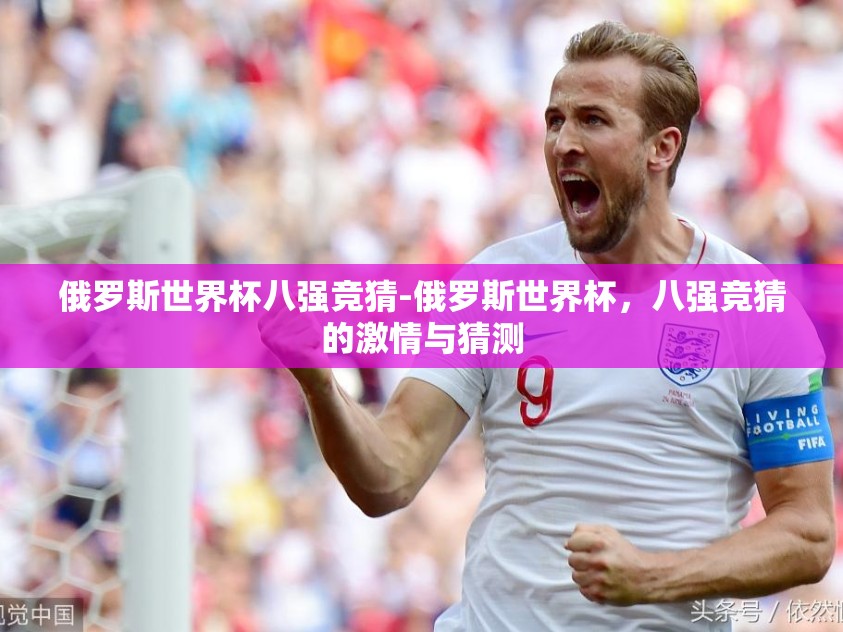 俄罗斯世界杯八强竞猜-俄罗斯世界杯，八强竞猜的激情与猜测