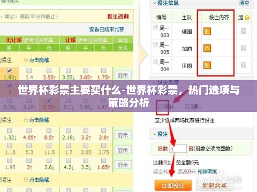 世界杯彩票主要买什么-世界杯彩票，热门选项与策略分析