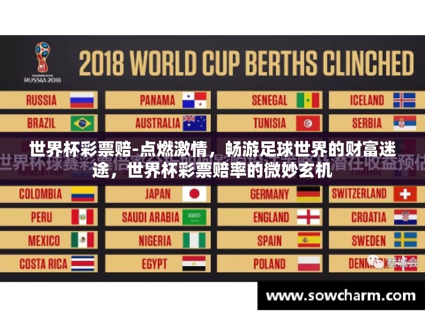 世界杯彩票赔-点燃激情，畅游足球世界的财富迷途，世界杯彩票赔率的微妙玄机