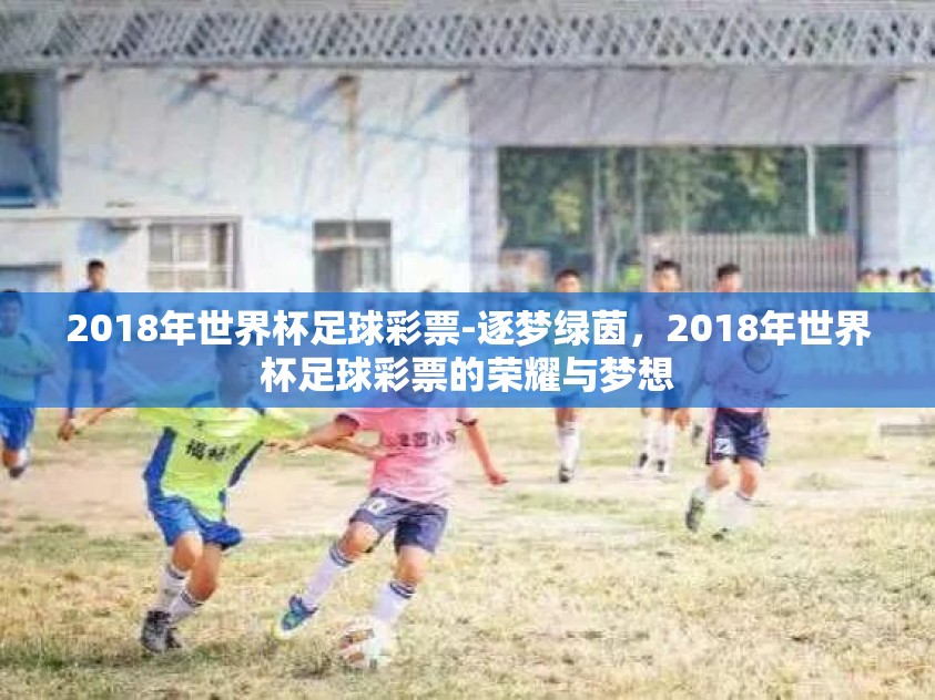 2018年世界杯足球彩票-逐梦绿茵，2018年世界杯足球彩票的荣耀与梦想