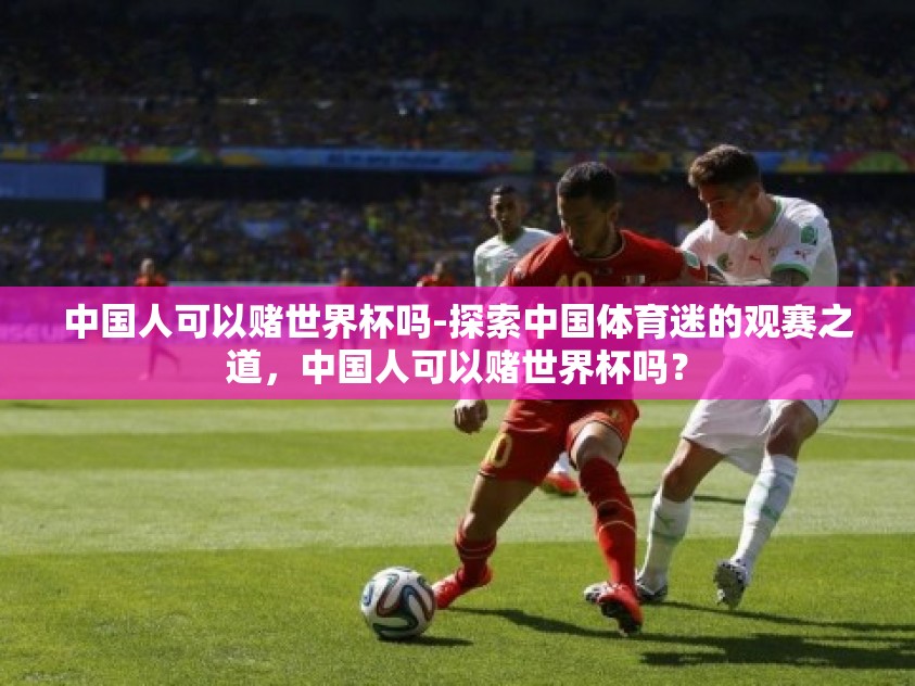 中国人可以赌世界杯吗-探索中国体育迷的观赛之道，中国人可以赌世界杯吗？