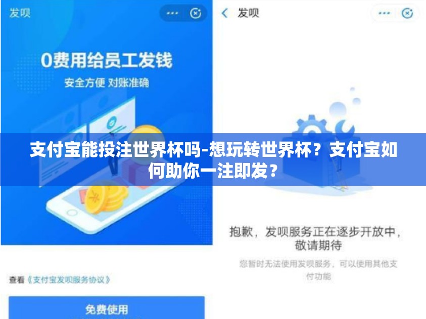 支付宝能投注世界杯吗-想玩转世界杯？支付宝如何助你一注即发？