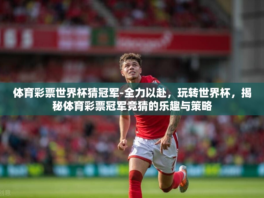 体育彩票世界杯猜冠军-全力以赴，玩转世界杯，揭秘体育彩票冠军竞猜的乐趣与策略