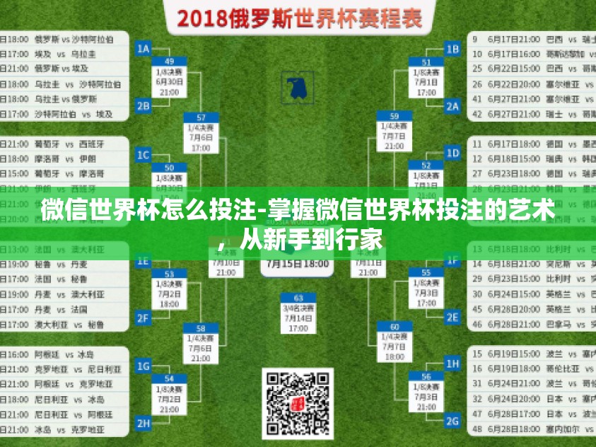 微信世界杯怎么投注-掌握微信世界杯投注的艺术，从新手到行家