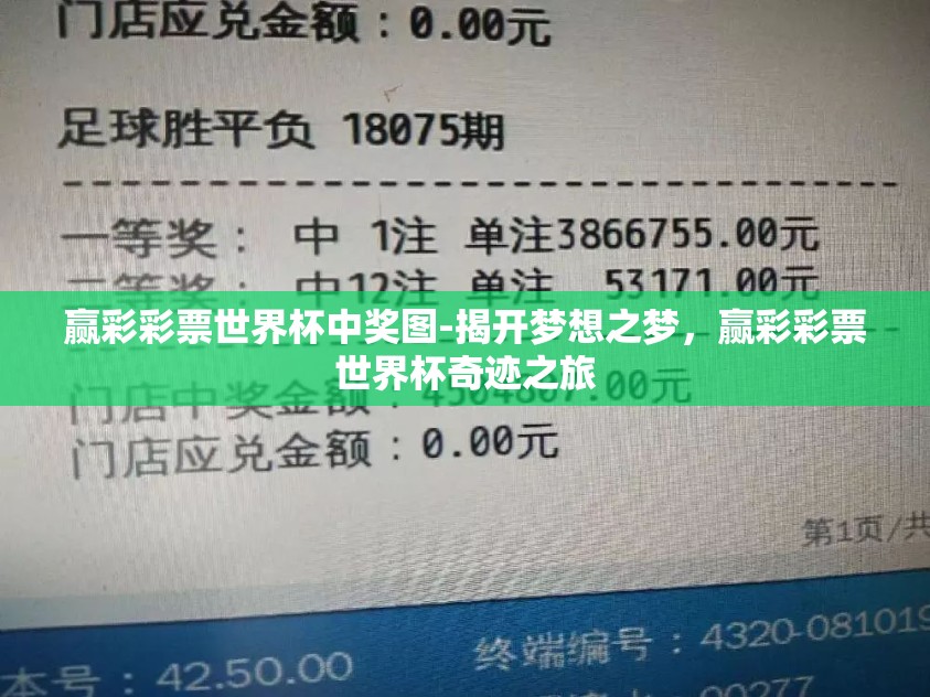 赢彩彩票世界杯中奖图-揭开梦想之梦，赢彩彩票世界杯奇迹之旅