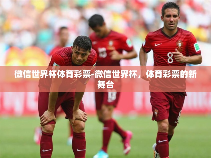 微信世界杯体育彩票-微信世界杯，体育彩票的新舞台