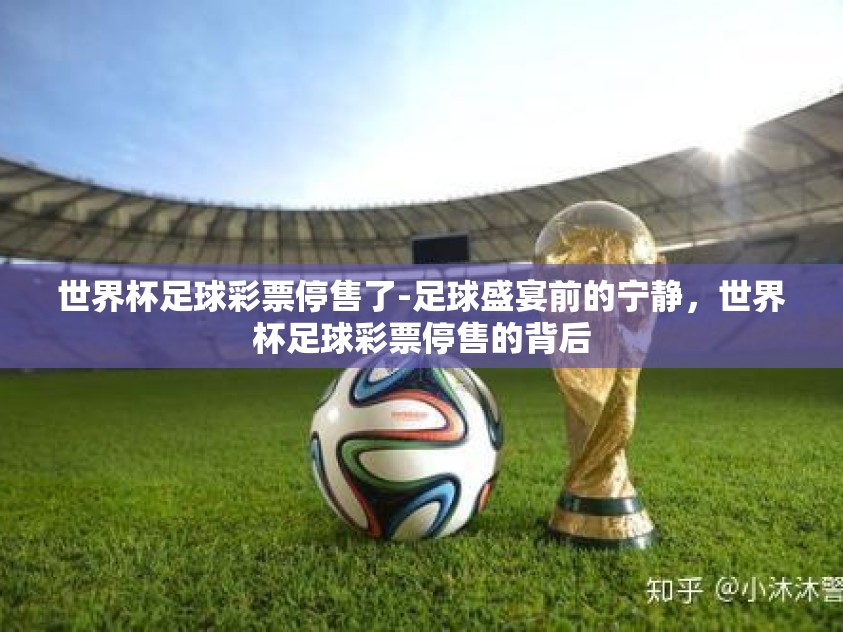 世界杯足球彩票停售了-足球盛宴前的宁静,世界杯足球彩票停售的背后 世界杯足球彩票停售了-足球盛宴前的宁静,世界杯足球彩票停售的背后