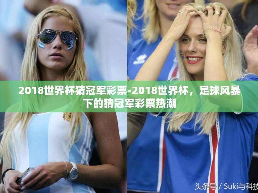2018世界杯猜冠军彩票-2018世界杯，足球风暴下的猜冠军彩票热潮